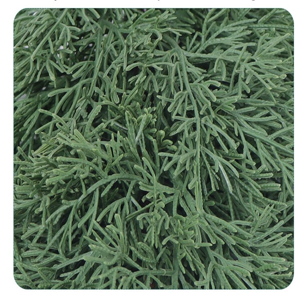 Pohon Natal cabang pinus buata - Christmas Wreath Fake ulasan dan harga
